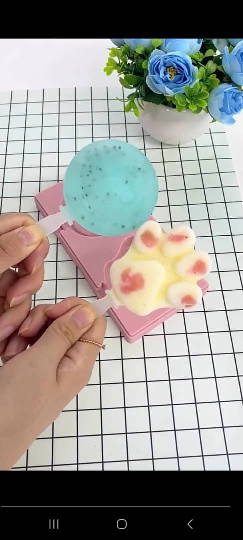 Silicone Popsicle mould