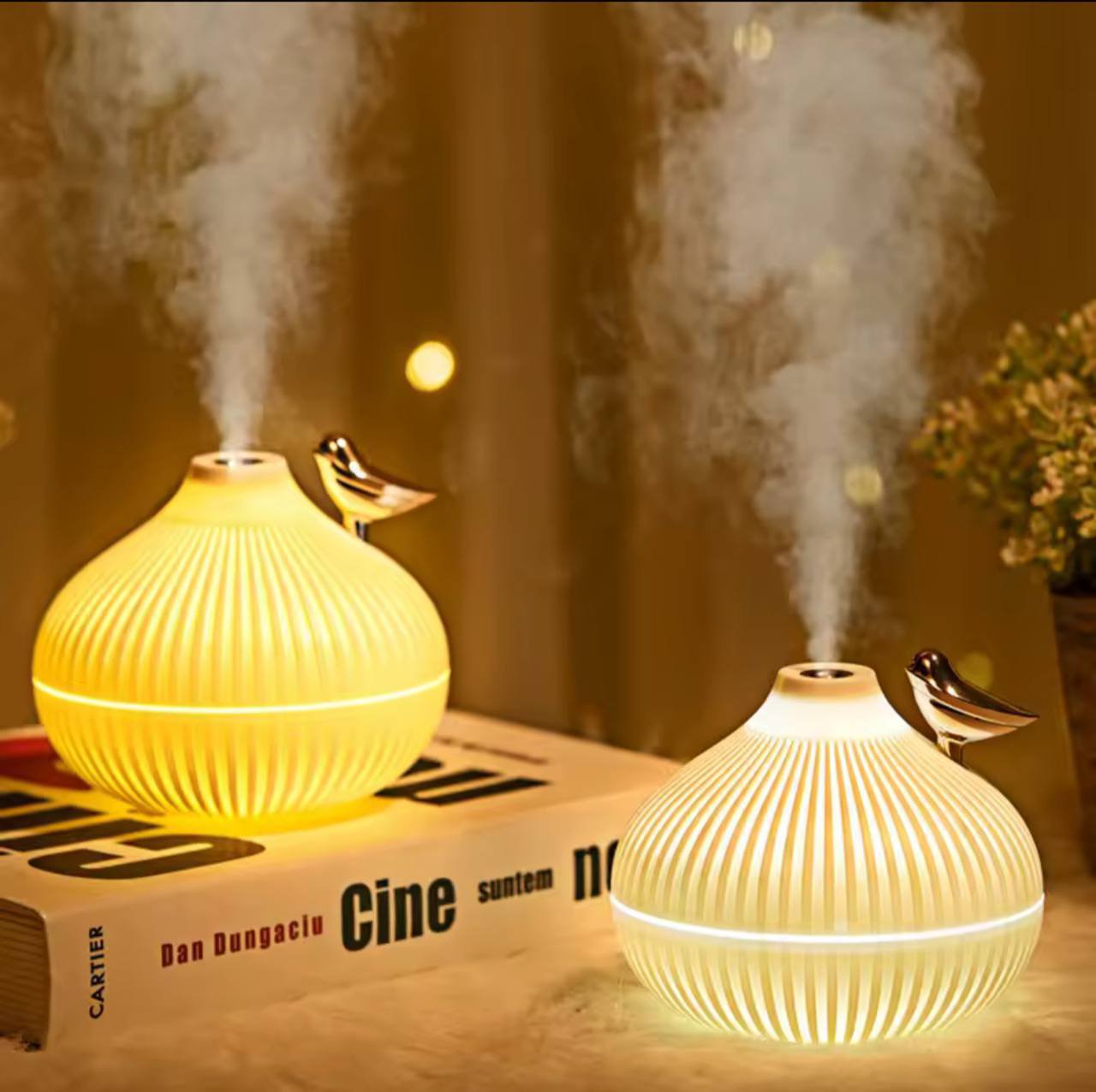 Onion humidifier diffuser