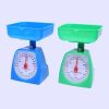 Plastic scale